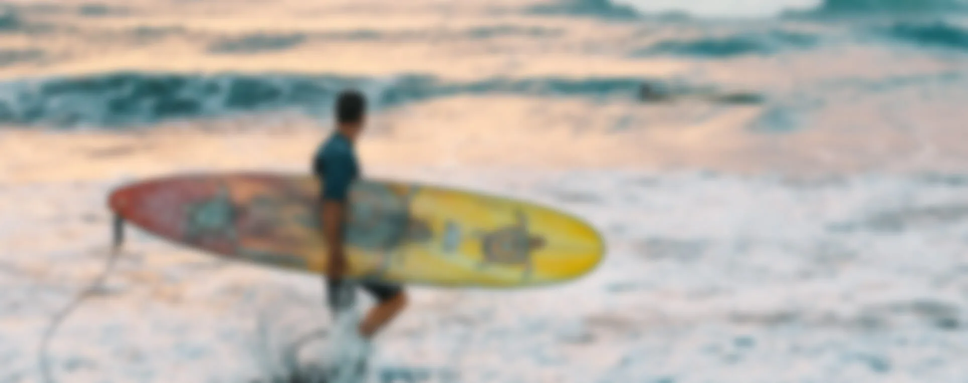 Estudiantes surfistas en la playa